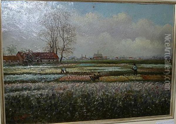 Bloembollenvelden. Oil Painting - Anton Lodewijk Koster