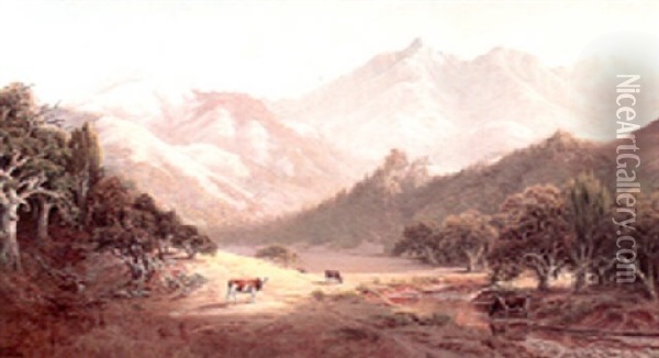 Mount Tamalpais Oil Painting - Jack Wisby