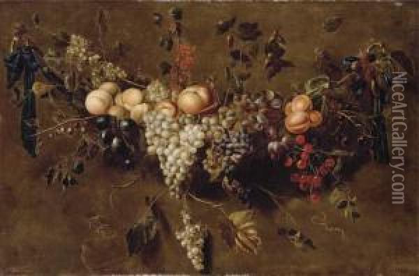 A Garland Of Grapes, Blackberries, Cherries, Plums, Gooseberries And Redcurrants Oil Painting - Adriaen van Utrecht