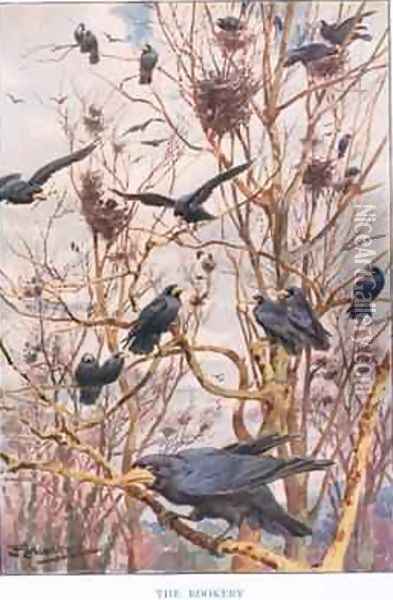 The Rookery illustration from Country Ways and Country Days Oil Painting - Louis Fairfax Muckley