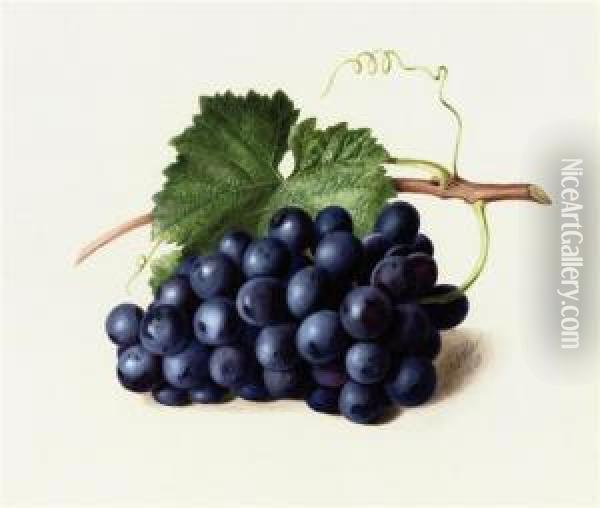 Fruit Of The Vine Oil Painting - Augusta Innes Withers