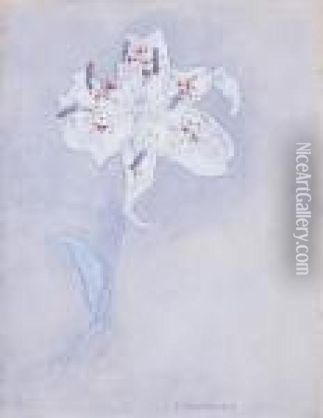 Lily Oil Painting - Piet Mondrian