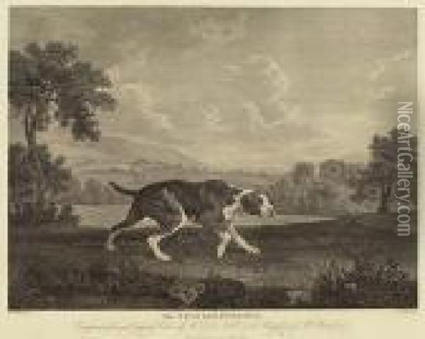 The Spanish Pointer Oil Painting - George Stubbs