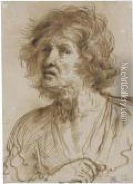Study Of The Head Of A Dishevelled Man Oil Painting - Guercino
