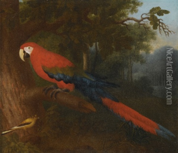 A Parrot And A Yellow Wagtail On A Branch Oil Painting - Jakob Bogdani