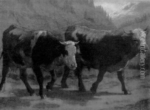 Stier Und Kuh Im Gebirge Oil Painting - Albert Lugardon