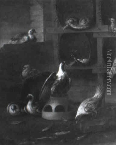 Pigeons In A Loft Oil Painting - Felice Boselli