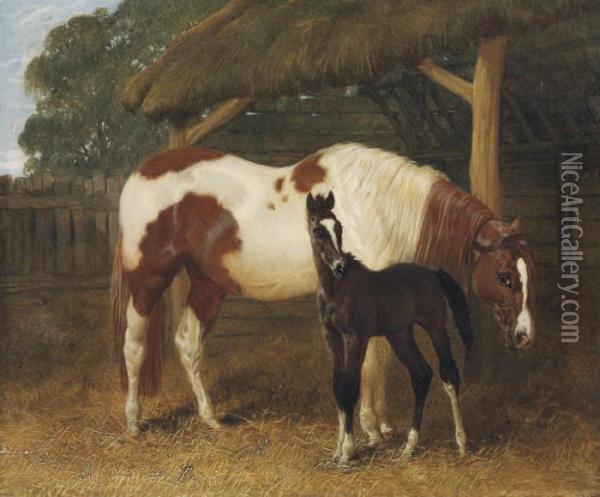 Mare And Foal By A Barn Oil Painting - John Frederick Herring Snr