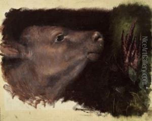 Kalbskopf, Studie Oil Painting - Josef Engelhart