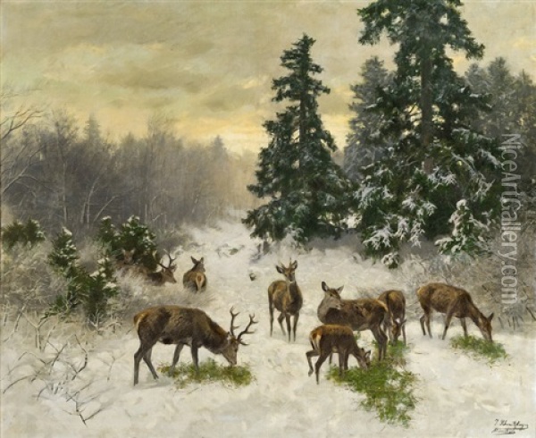 Deer In The Forest In Winter Oil Painting - Josef Schmitzberger