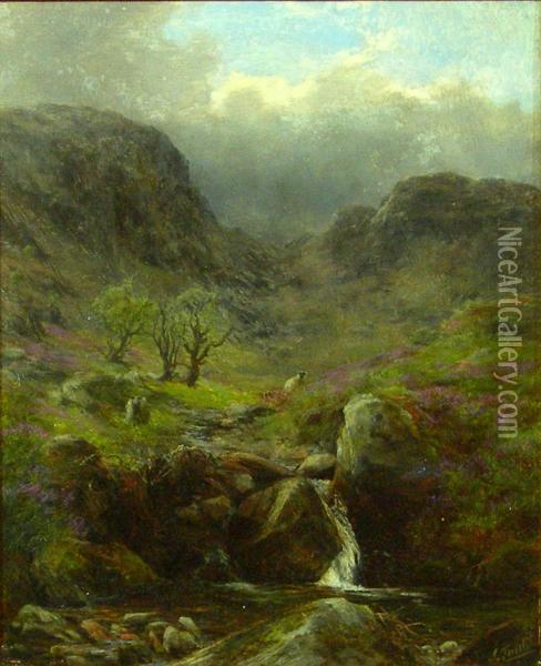 Sheep Above A Highland Brook Oil Painting - James Jnr Faed