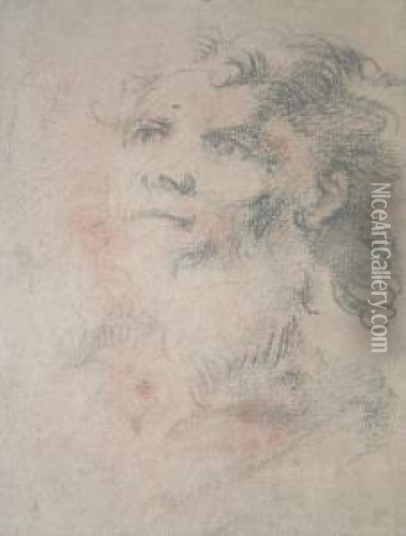 Study Of A Bearded Man Oil Painting - Giacinto Brandi