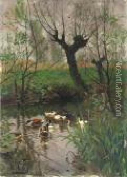 Entenschar Auf Einem Teich Oil Painting - Adolf Lins
