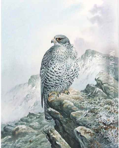 A falcon on a rocky outcrop Oil Painting - Carl Donner