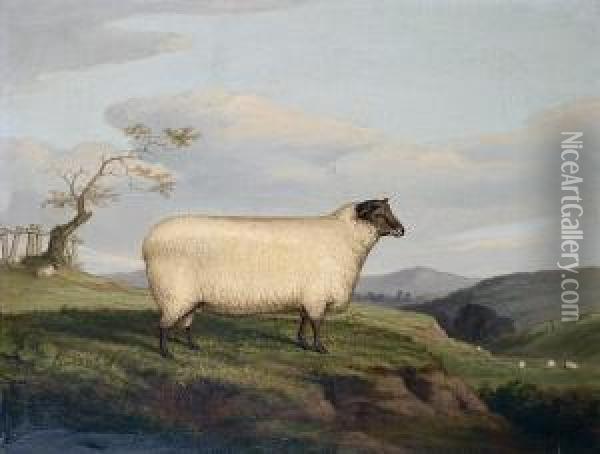 A Black Faced Sheep In Landscape Oil Painting - J. Quinton