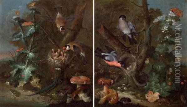 Pair Of Works: Still Life With Birds And Fungi Oil Painting - Johann Baptist Halszel