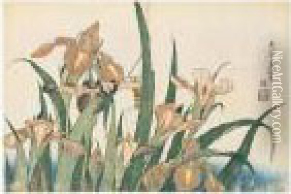 Iris Et Sauterelle Oil Painting - Katsushika Hokusai
