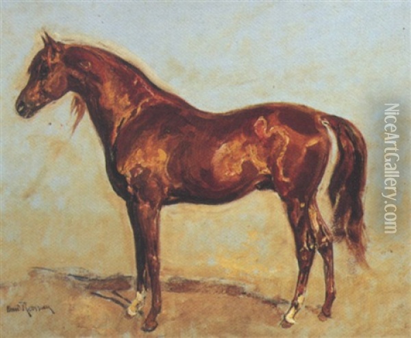 An Arab Stallion Oil Painting - Henri Emilien Rousseau