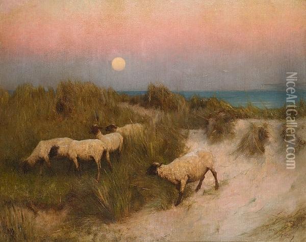 Sheep Grazing Amongst The Dunes Oil Painting - Alfred Hartley