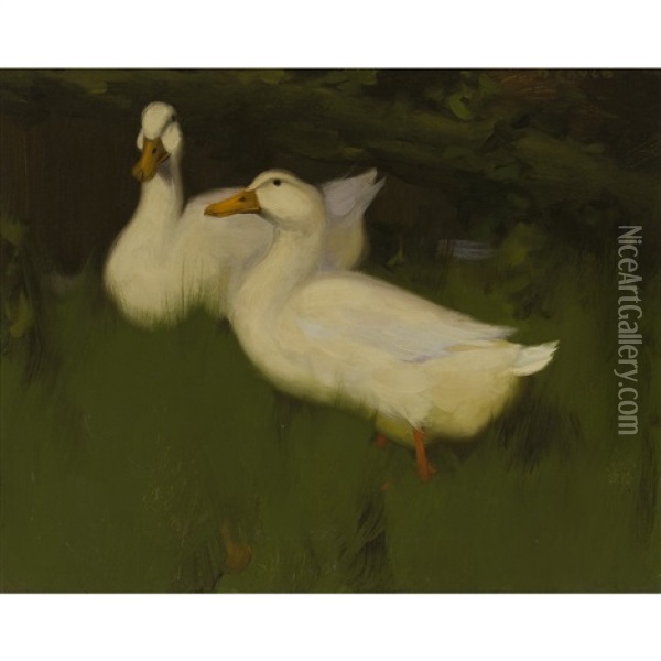 Ducks On A Bank Oil Painting - David Gauld