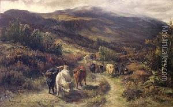 Highland Cattle On A Drove Road Oil Painting - Joseph Denovan Adam