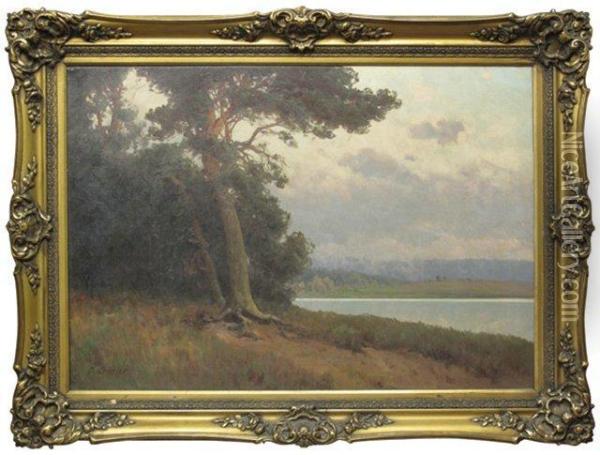 Sommerliches Seeufer Oil Painting - Carl Kenzler