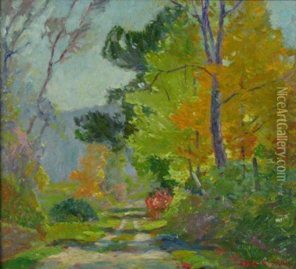 An Autumn Landscape Ni Brown County, 
In Oil Painting - Carl C. Graf