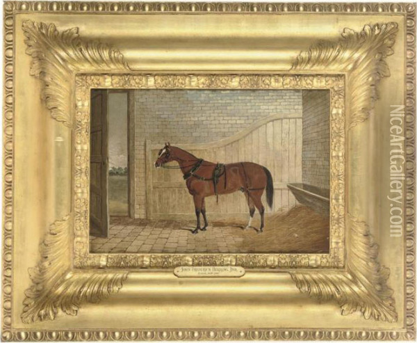 A Saddled Carriage Horse In A Stable Oil Painting - John Frederick Herring Snr