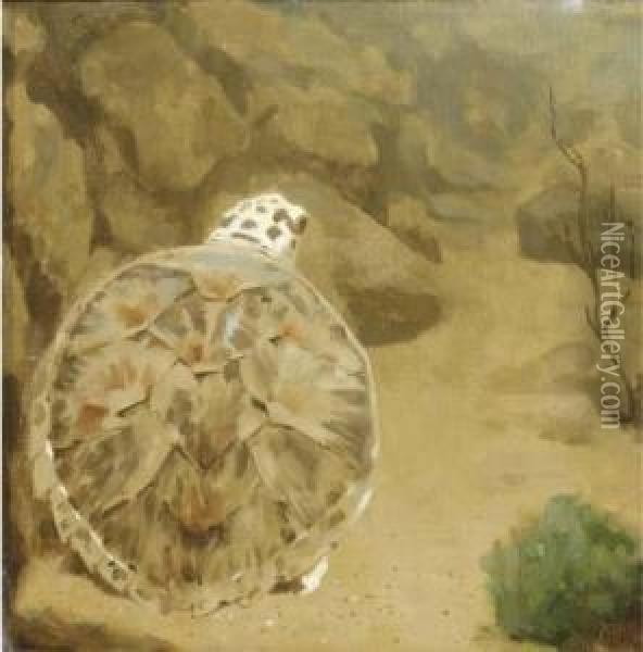 A Turtle Oil Painting - Gerrit Willem Dijsselhof