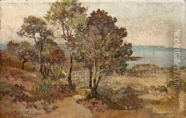 Sommerliche Kustenlandschaft Oil Painting - Emile Robert