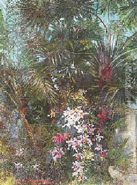 Exotische Gartenlandschaft Auf Madeira Oil Painting - Hermione von Preuschen