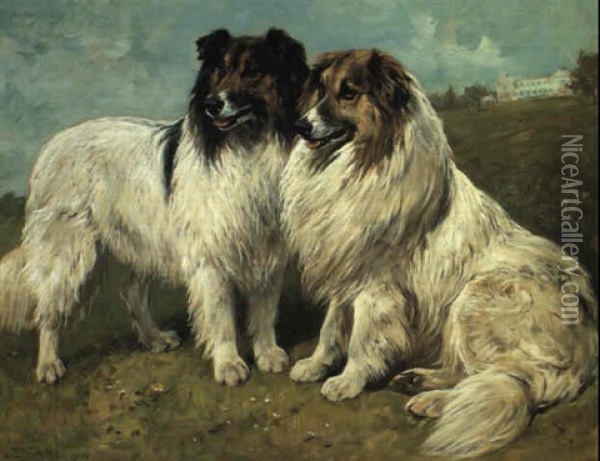 Rough Collies Oil Painting - John Emms