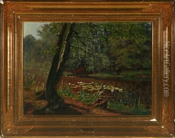 Forrest Scenery With Water Lilies On The Lake Oil Painting - Olaf Viggo Peter Langer