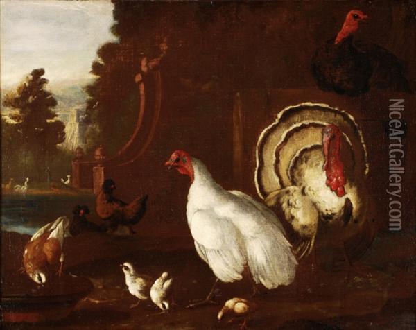 Turkeys,chickens, Peacocks And A Dove In A Baroque Garden Oil Painting - Pieter III Casteels