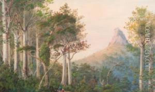 Among The Kauri, Castle Rock,1884 Oil Painting - Alfred Sharpe