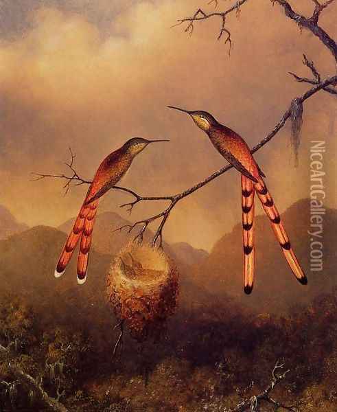 Two Hummingbirds With Their Young Oil Painting - Martin Johnson Heade