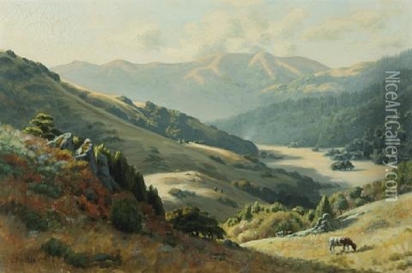 Pastoral Splendor, Cattle Along A Marin Hillside Oil Painting - Ludmilla Pilat Welch