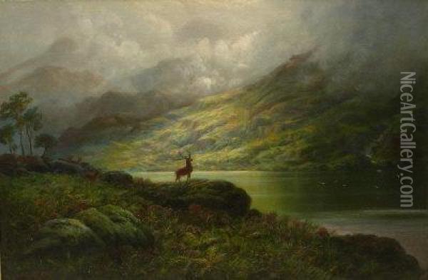 Deer In Highland Landscape Oil Painting - Charles Stuart Forbes