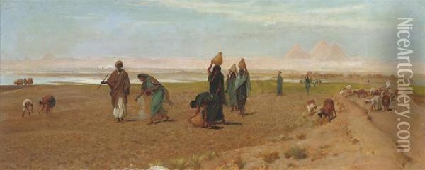 The Sheik's Daughter Sowing The Dourah Oil Painting - Frederick Goodall