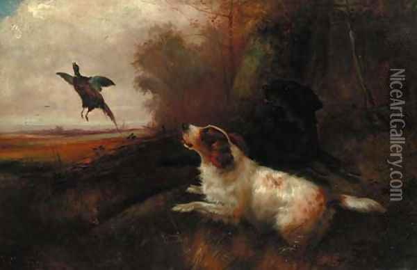 Spaniels putting up pheasant Oil Painting - Robert Cleminson