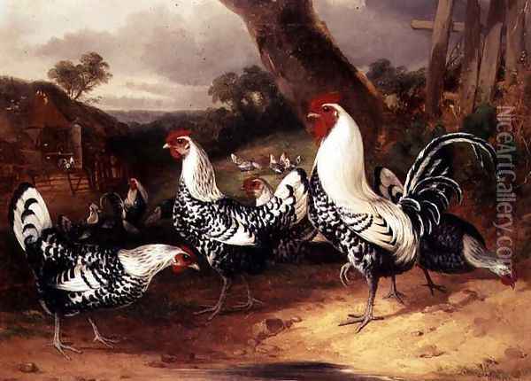 Cockerels in a Landscape Oil Painting - William Joseph Shayer