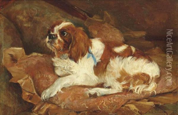 A Comfier Spaniel Oil Painting - Cuthbert Edmund Swan