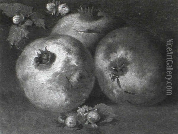Still Life Of Pomegranates And Gooseberries Oil Painting - Abraham Brueghel