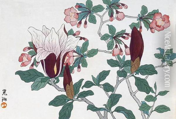 Purpurowe Kwiaty Oil Painting - Ogata Korin