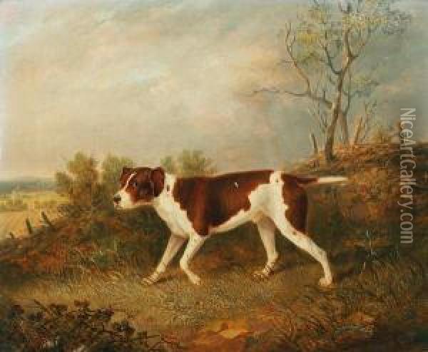 Major John William's Favourite Pointer Oil Painting - John Pitman