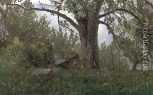 Baum Am Seeufer Oil Painting - Gustav Bamberger