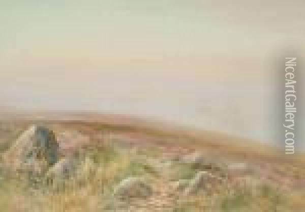 Moorland View Oil Painting - Frederick John Widgery