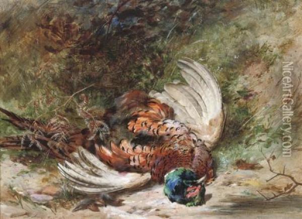 One For The Retriever: A Shot Pheasant Oil Painting - James Jnr Hardy
