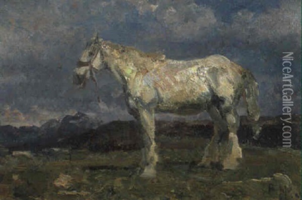 Cavallo Bianco Nel Paesaggio Oil Painting - Beppe Ciardi
