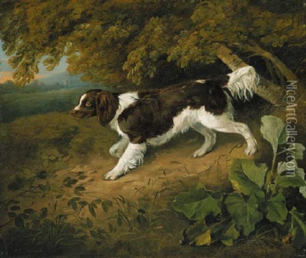 A Marlborough Spaniel, On A Path, In A Wooded Lanscape Oil Painting - Ramsay Richard Reinagle